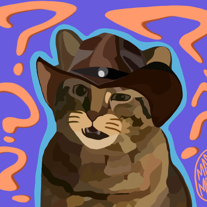 picture of a confused cat